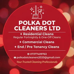 Polka Dot Cleaners Ltd logo
